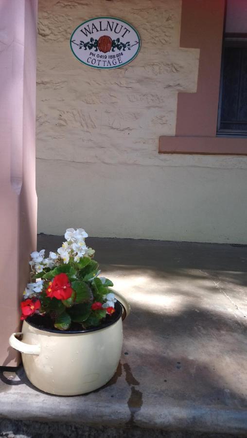 Walnut Cottage Angaston Eksteriør bilde